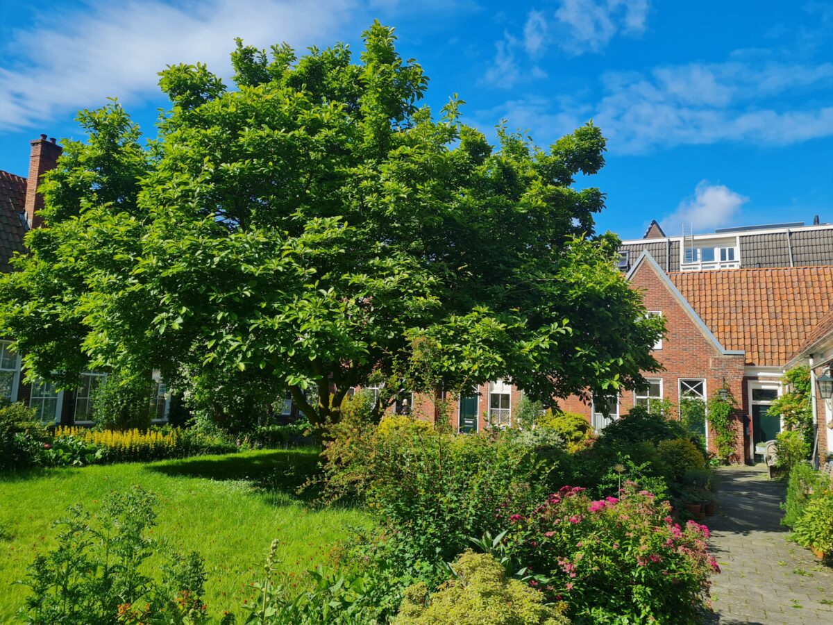 15 redenen waarom Groningen op je bucketlist hoort